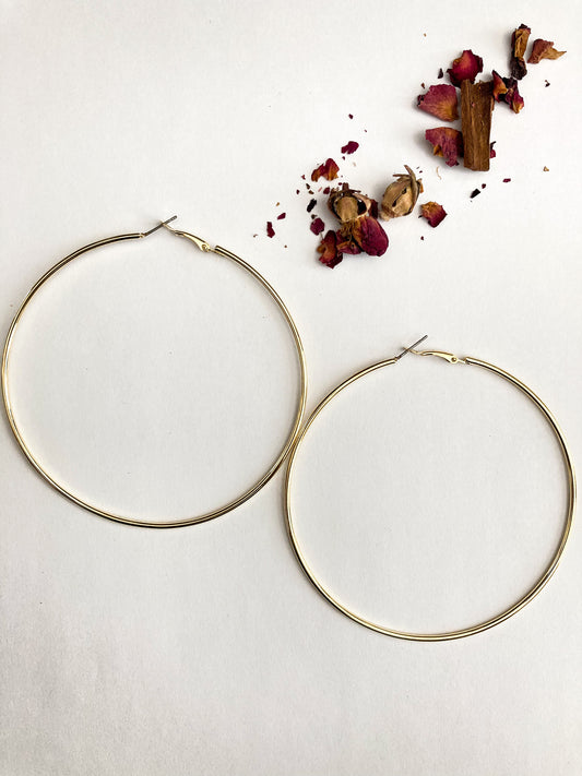 The Perfect Hoop Earrings